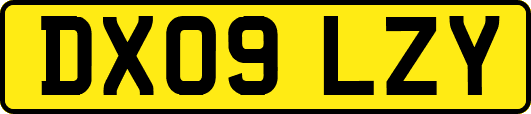 DX09LZY