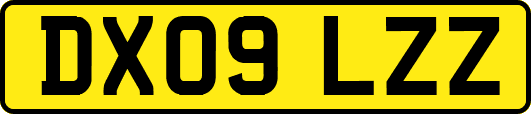 DX09LZZ