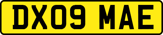 DX09MAE