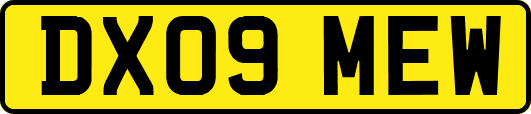 DX09MEW