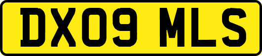 DX09MLS