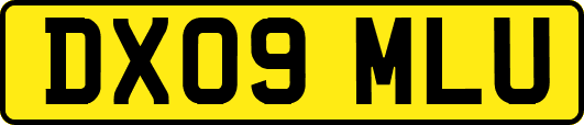 DX09MLU