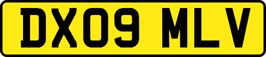 DX09MLV