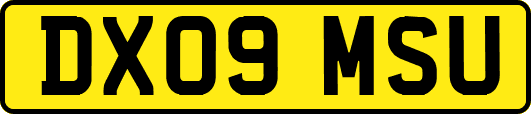 DX09MSU