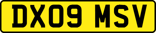 DX09MSV