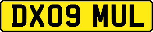 DX09MUL