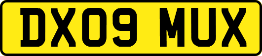 DX09MUX