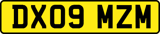 DX09MZM