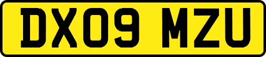 DX09MZU
