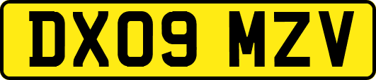 DX09MZV