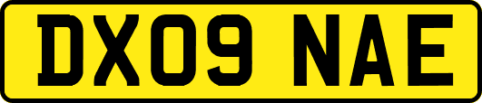 DX09NAE