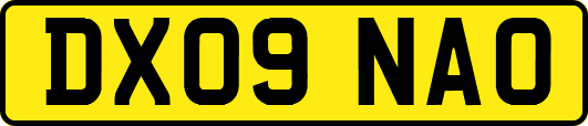 DX09NAO