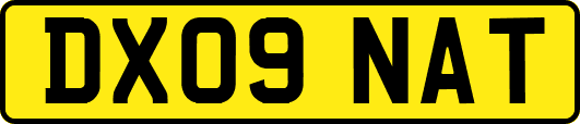 DX09NAT