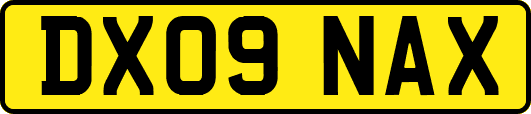 DX09NAX