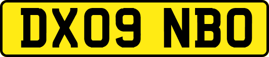 DX09NBO