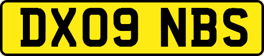 DX09NBS