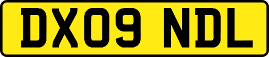DX09NDL