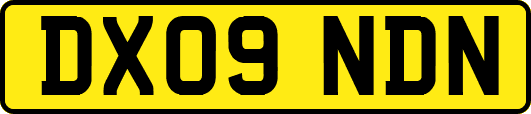 DX09NDN