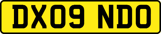 DX09NDO