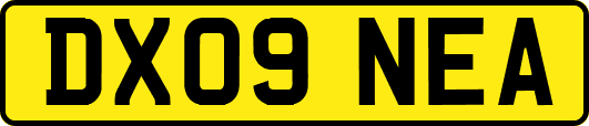 DX09NEA