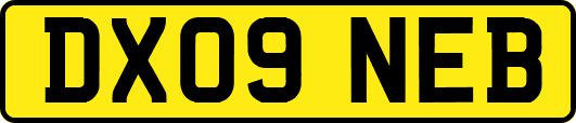 DX09NEB