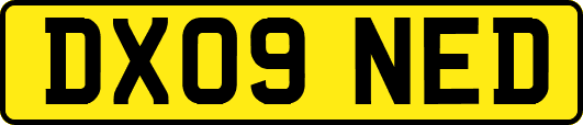 DX09NED