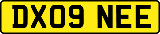 DX09NEE