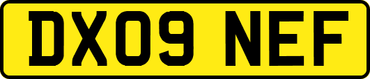 DX09NEF