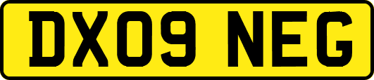 DX09NEG