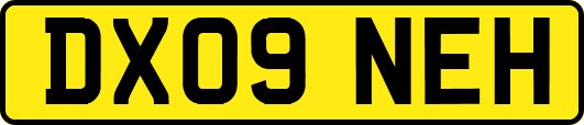 DX09NEH