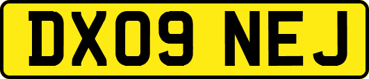 DX09NEJ
