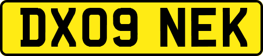 DX09NEK