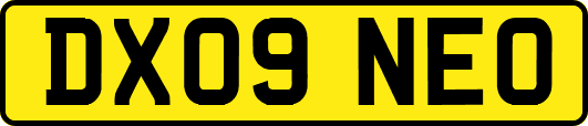 DX09NEO