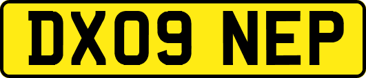 DX09NEP