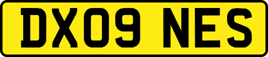 DX09NES