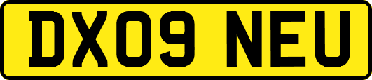 DX09NEU