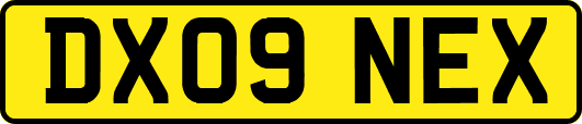 DX09NEX