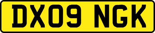 DX09NGK
