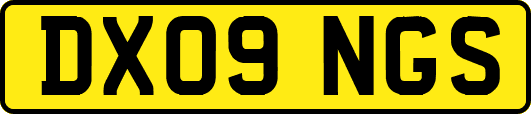 DX09NGS