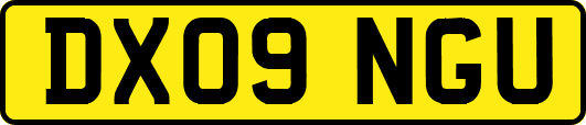DX09NGU