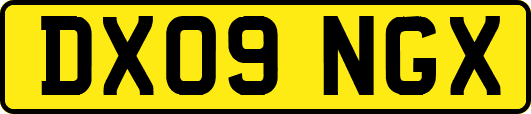 DX09NGX