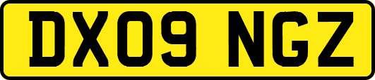 DX09NGZ