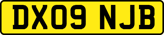 DX09NJB