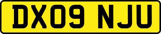 DX09NJU