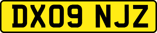 DX09NJZ