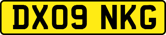 DX09NKG