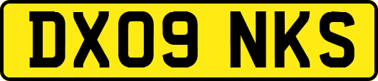 DX09NKS