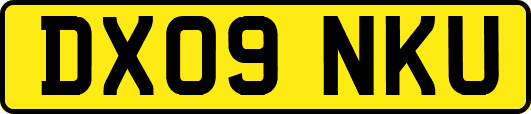 DX09NKU
