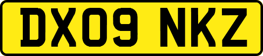 DX09NKZ