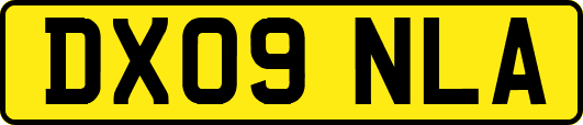DX09NLA